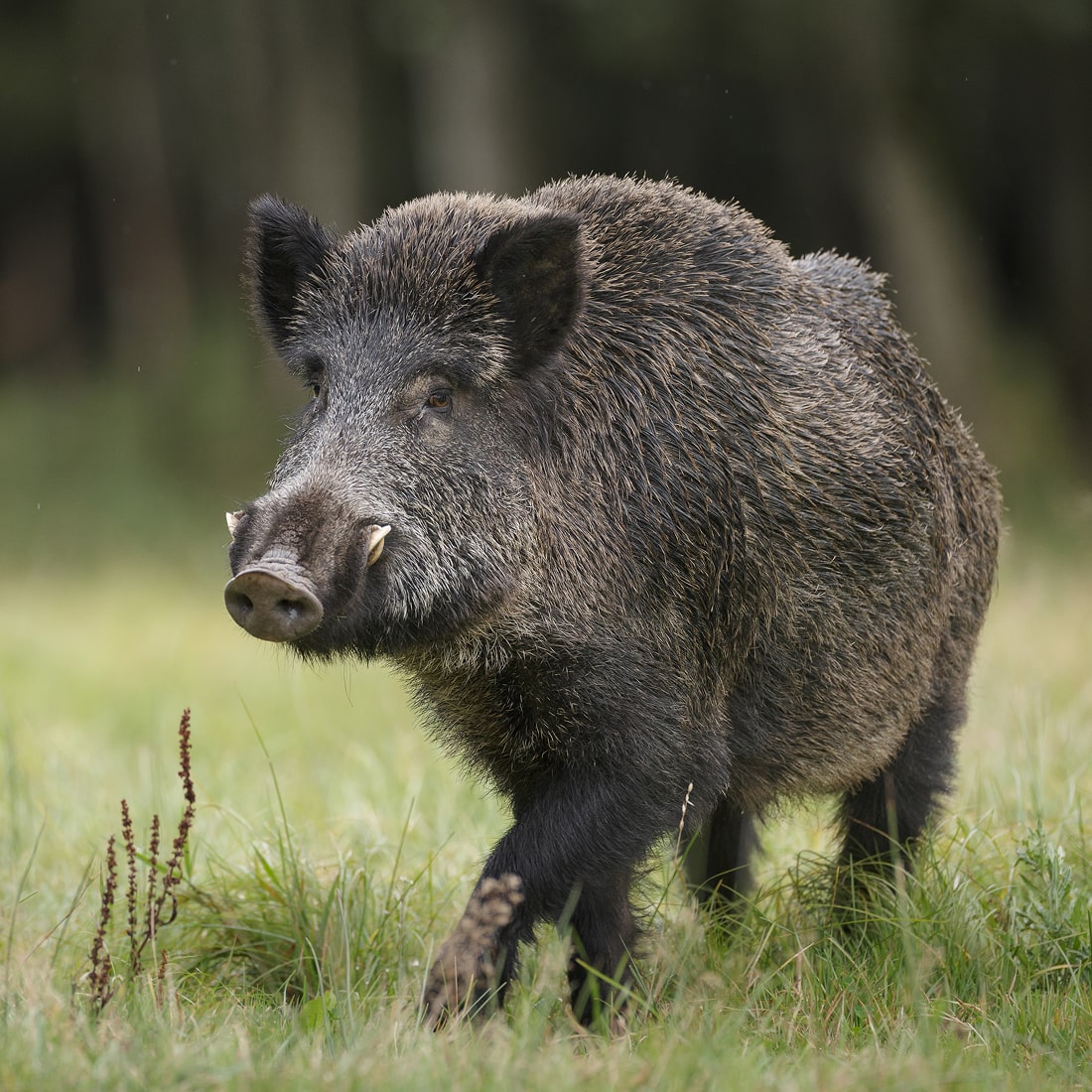 iStock-946567490 2-min