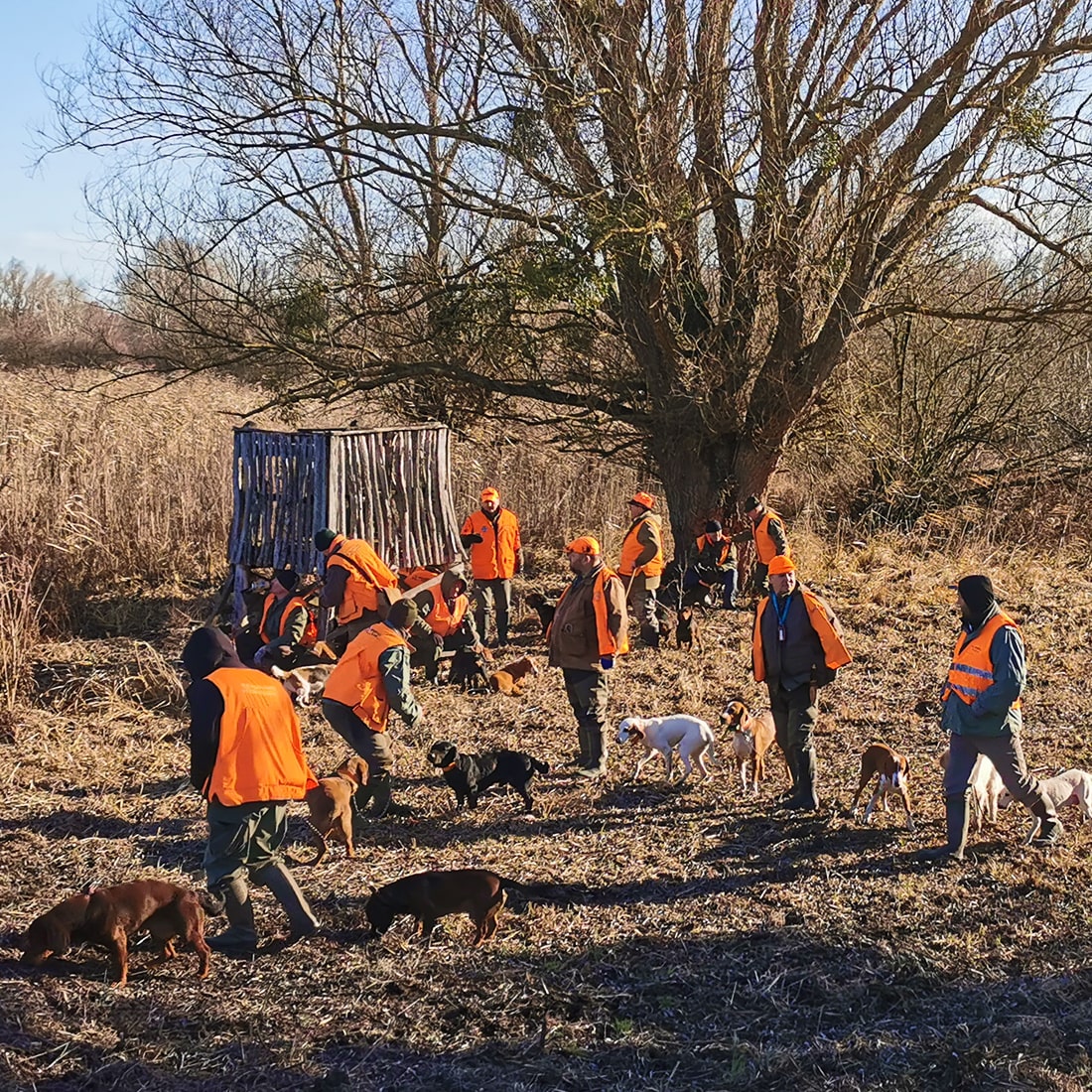 iStock-946567490 4-min